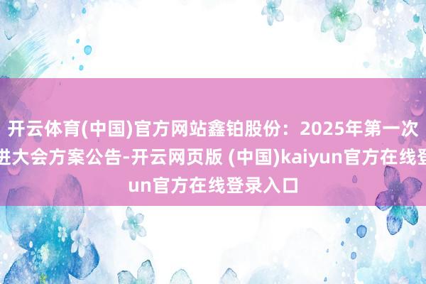 开云体育(中国)官方网站鑫铂股份：2025年第一次临时推进大会方案公告-开云网页版 (中国)kaiyun官方在线登录入口