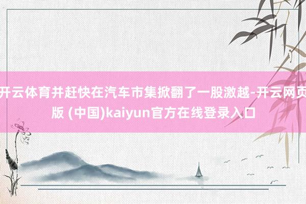 开云体育并赶快在汽车市集掀翻了一股激越-开云网页版 (中国)kaiyun官方在线登录入口