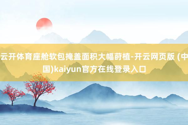云开体育座舱软包掩盖面积大幅莳植-开云网页版 (中国)kaiyun官方在线登录入口