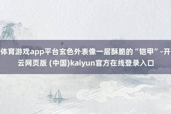 体育游戏app平台玄色外表像一层酥脆的“铠甲”-开云网页版 (中国)kaiyun官方在线登录入口