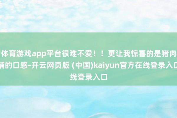 体育游戏app平台很难不爱！！更让我惊喜的是猪肉脯的口感-开云网页版 (中国)kaiyun官方在线登录入口