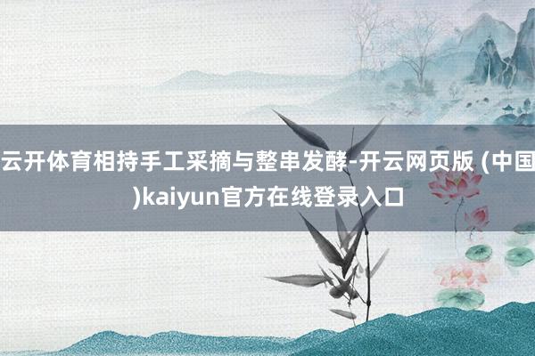 云开体育相持手工采摘与整串发酵-开云网页版 (中国)kaiyun官方在线登录入口